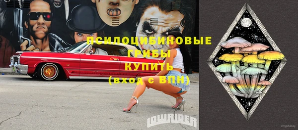 соль ск Верхний Тагил