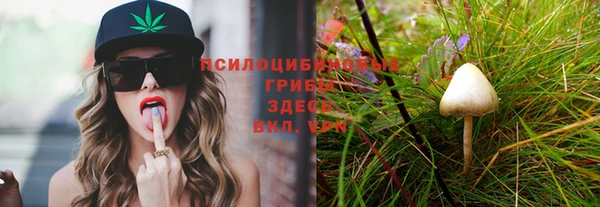 соль ск Верхний Тагил