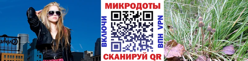 что такое   Верхний Уфалей  Галлюциногенные грибы мухоморы 